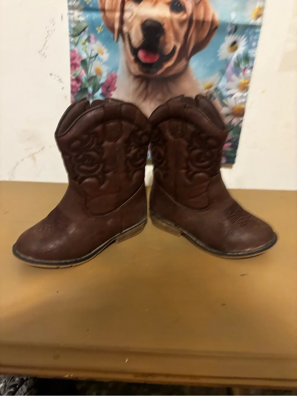 Cat & Jack Brown Kids Western Cowboy Boots